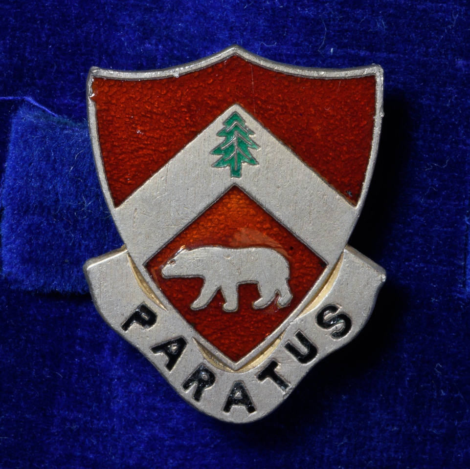 AMS006.jpg