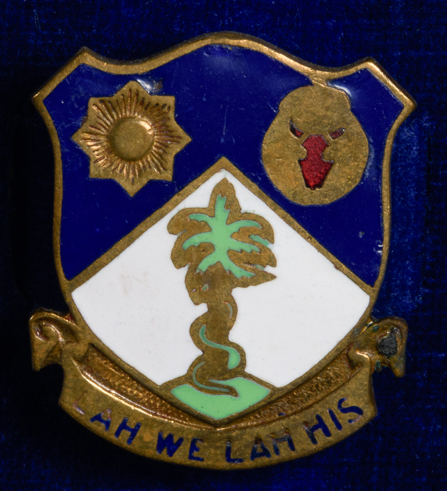 AMS028.jpg