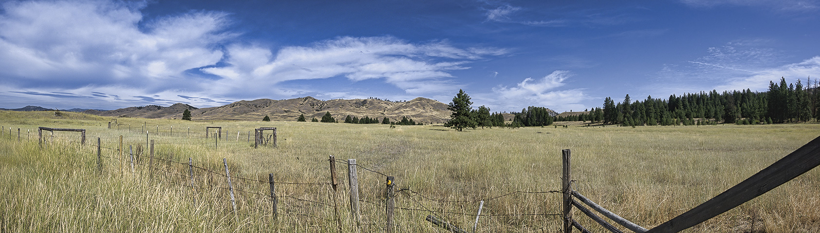 20190823-DSC_1193_20190823-DSC_1196-4-images_0000.jpg