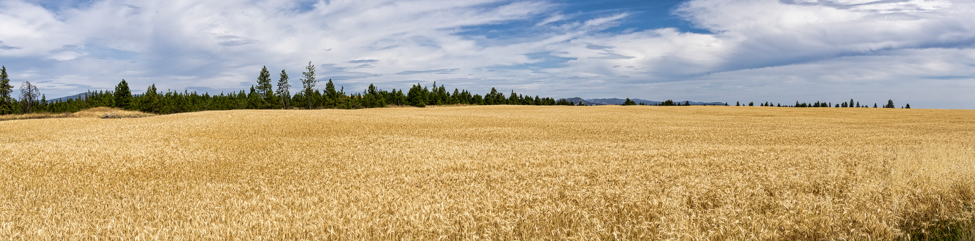 20190823-DSC_1318-Pano-Edit.jpg