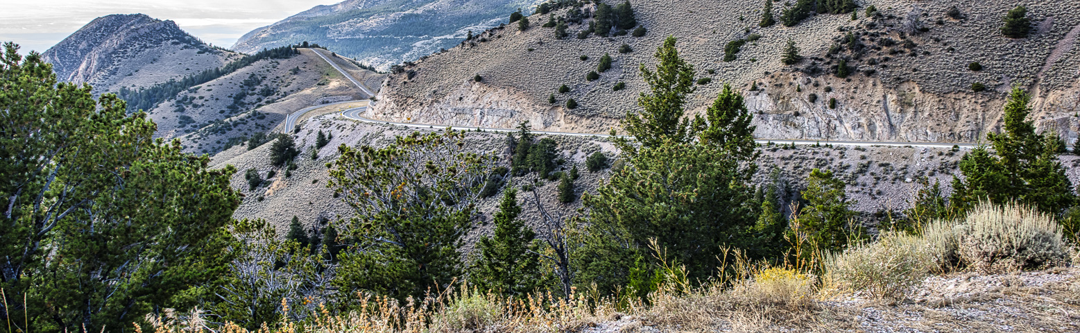 20190904-DSC_2514-Edit.jpg