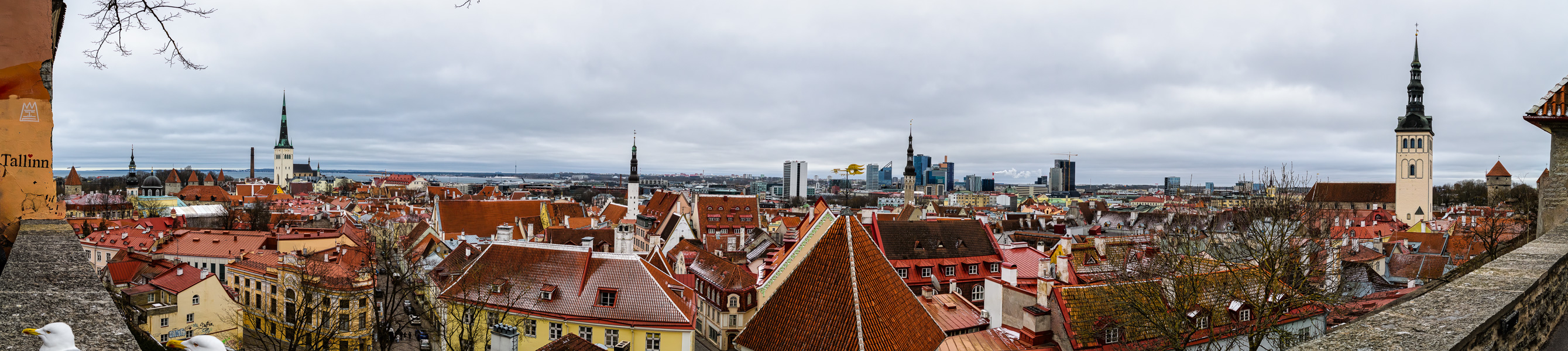 20240318-DSC_6948-Pano-Edit.jpg