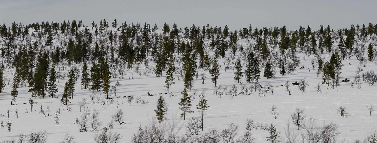 20240319-DSC_7168.jpg