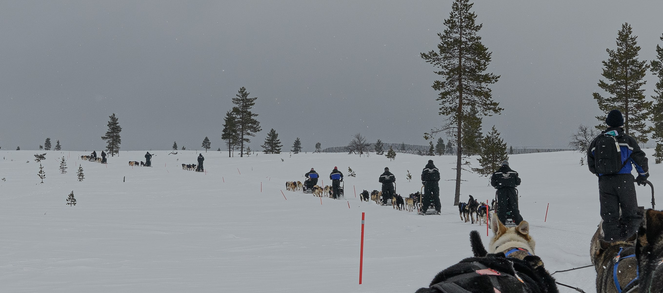 20240321-DSC_7767-Edit.jpg