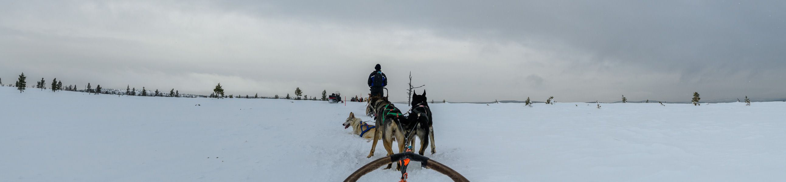 20240321-DSC_7790-Pano.jpg