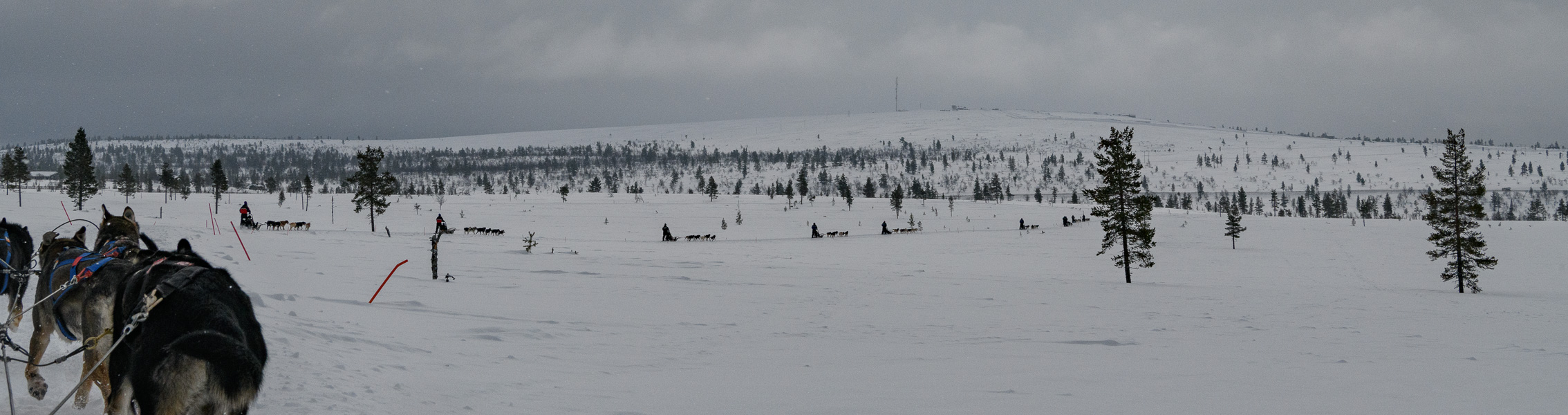 20240321-DSC_7856.jpg
