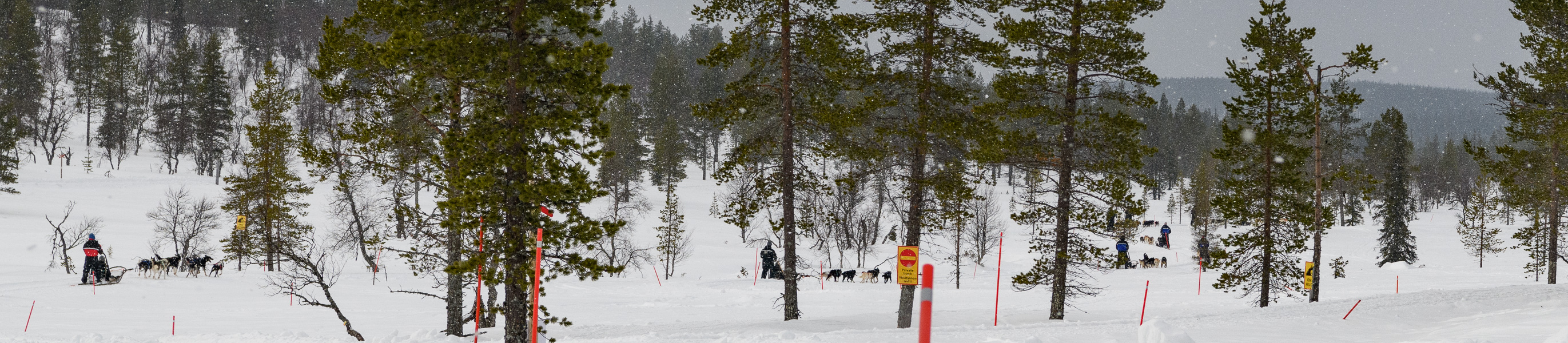 20240321-DSC_7870.jpg